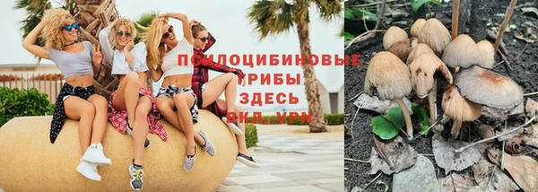крисы Алзамай