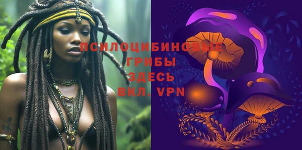 ГАЛЛЮЦИНОГЕННЫЕ ГРИБЫ Покровск
