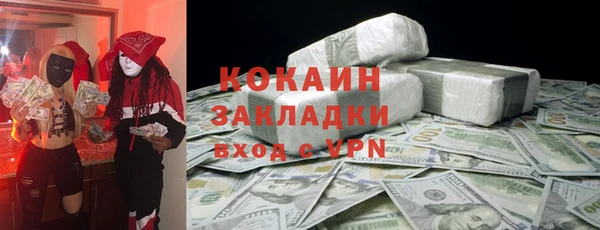 крисы Алзамай