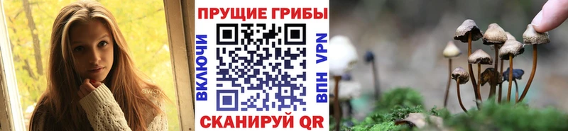 Галлюциногенные грибы GOLDEN TEACHER  Глазов 